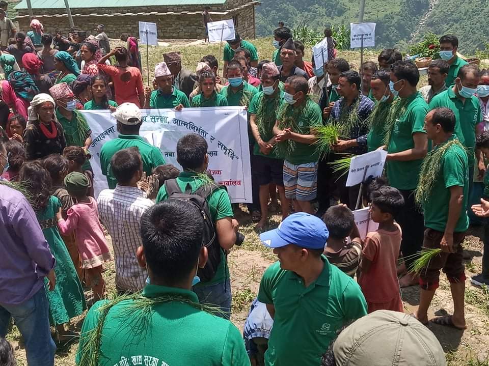 मानु राेपि मुरी फलाउनु पर्छ नगर प्रमुख पाण्डे